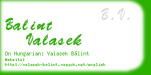balint valasek business card